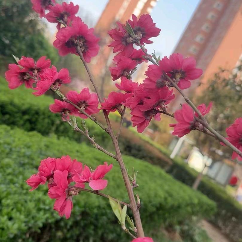 开心快乐每一天！