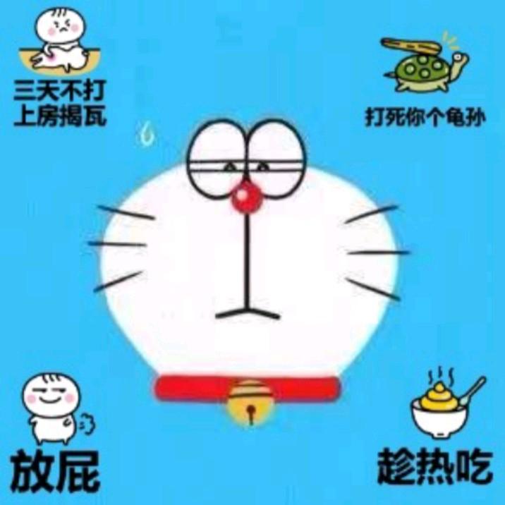 黄圣淇
