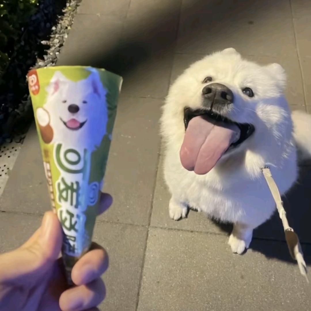 润园的直播标兵