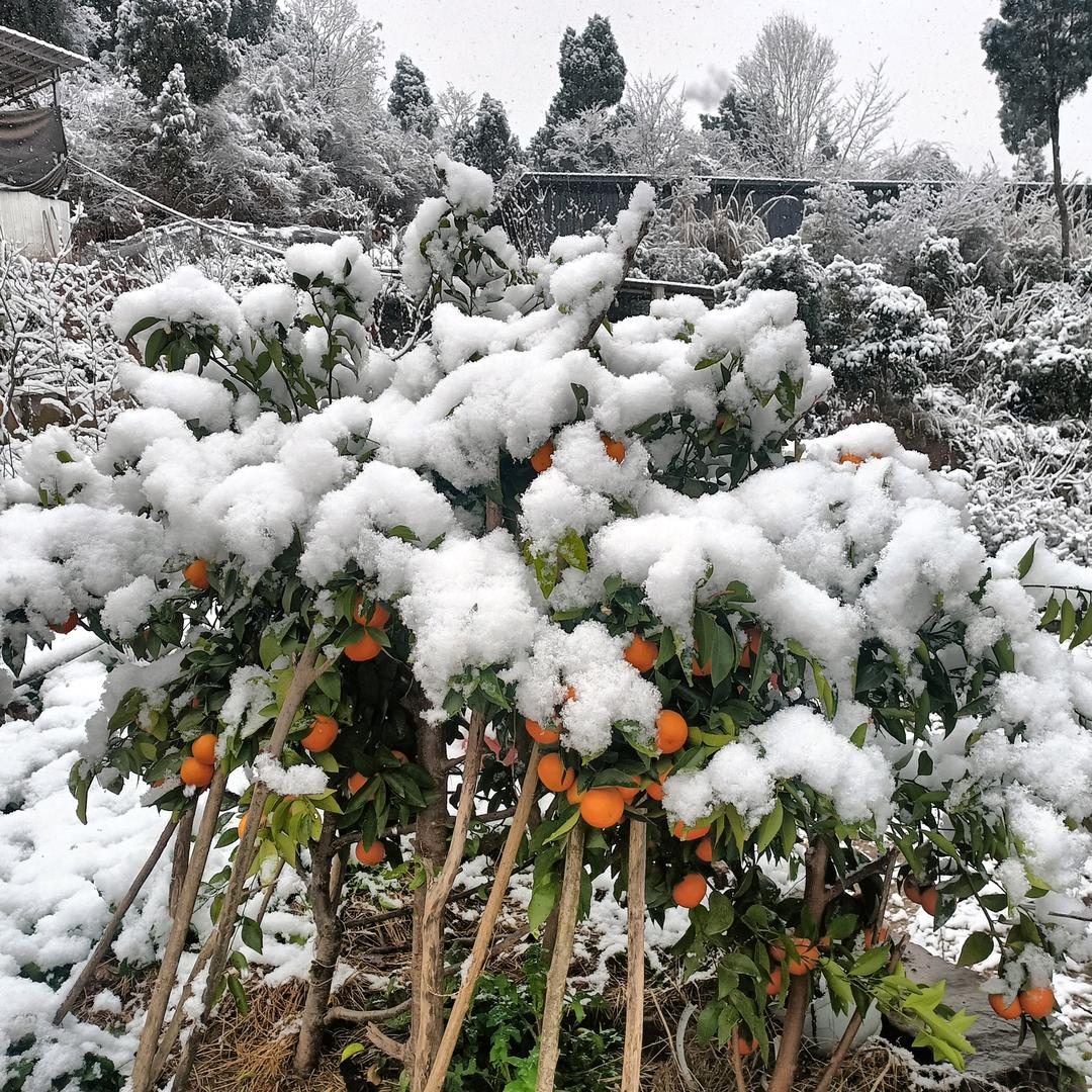 快乐时光