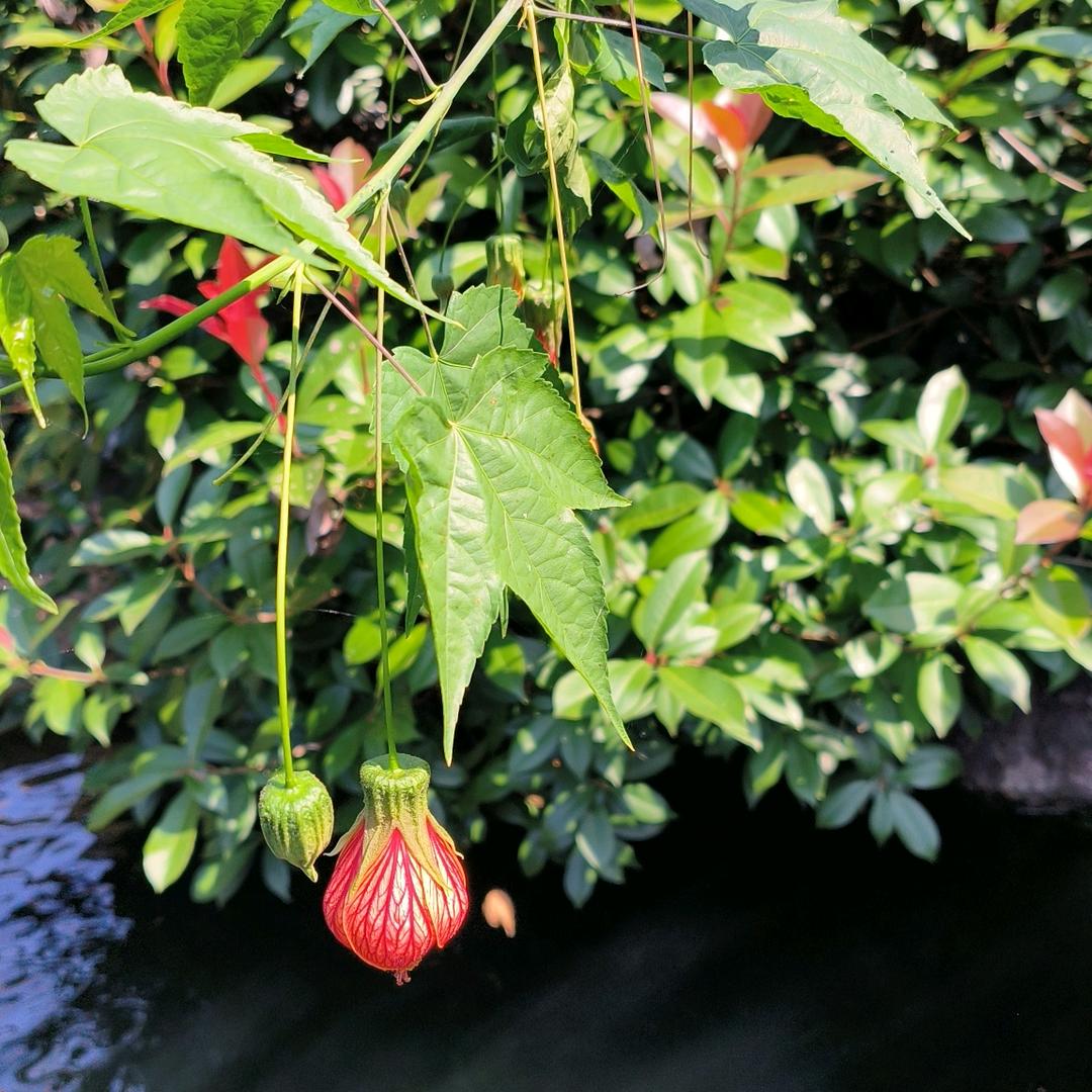 湘爷