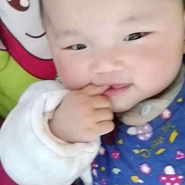 虫虫