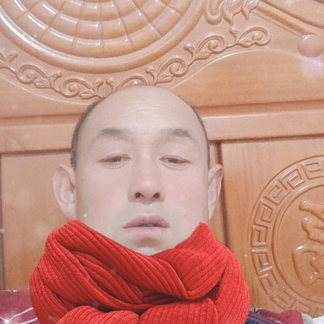 美丽的桂花