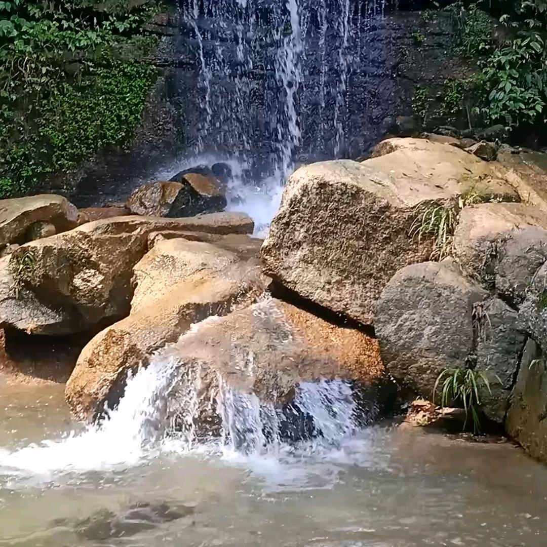 顺其自然