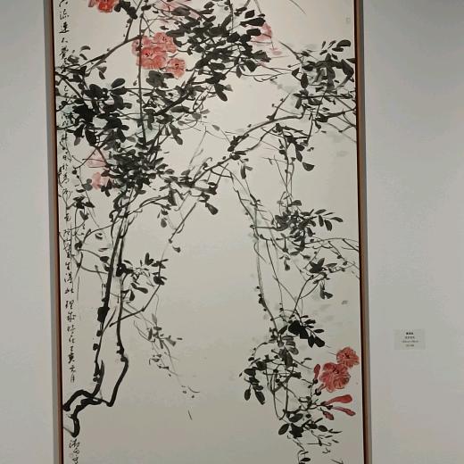 黎明之光