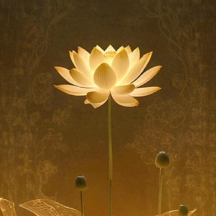 求缺🪷