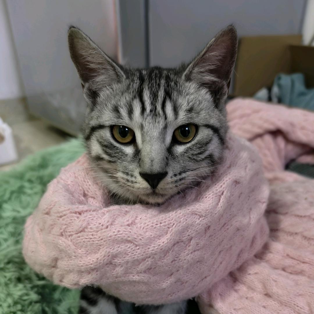 泸职院小林打印店