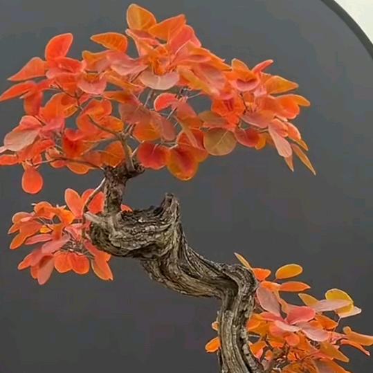 唯利克图