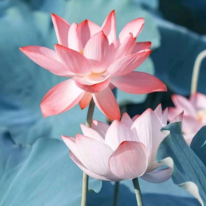 开心一天是一天^