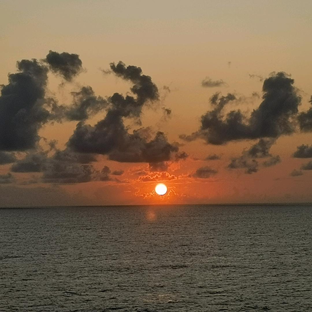 浪子游