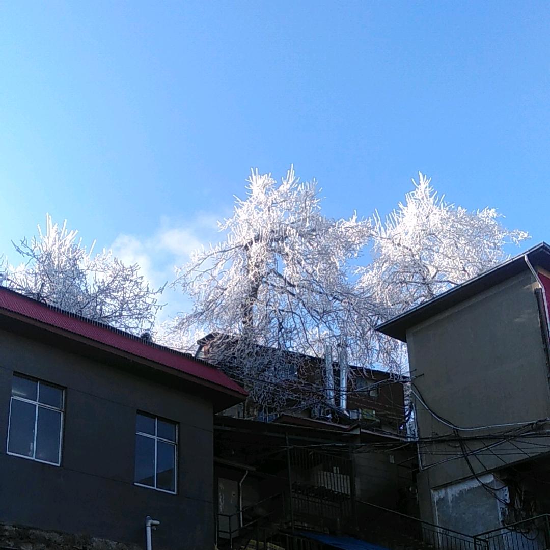 秀居民宿-章家小苑