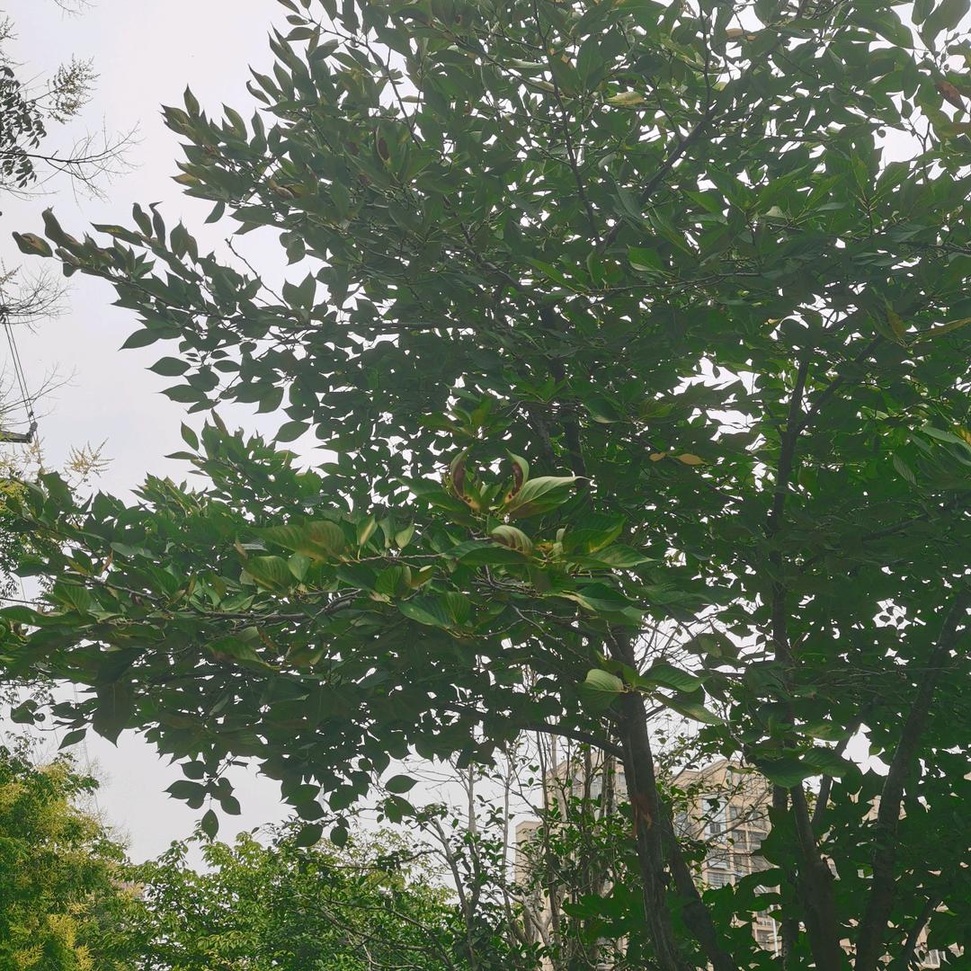 米米😜