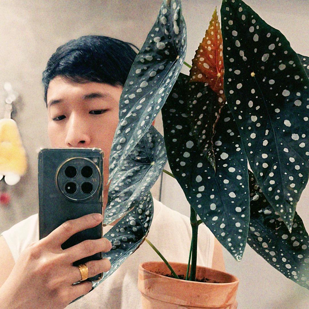 爱看叶子的亮亮