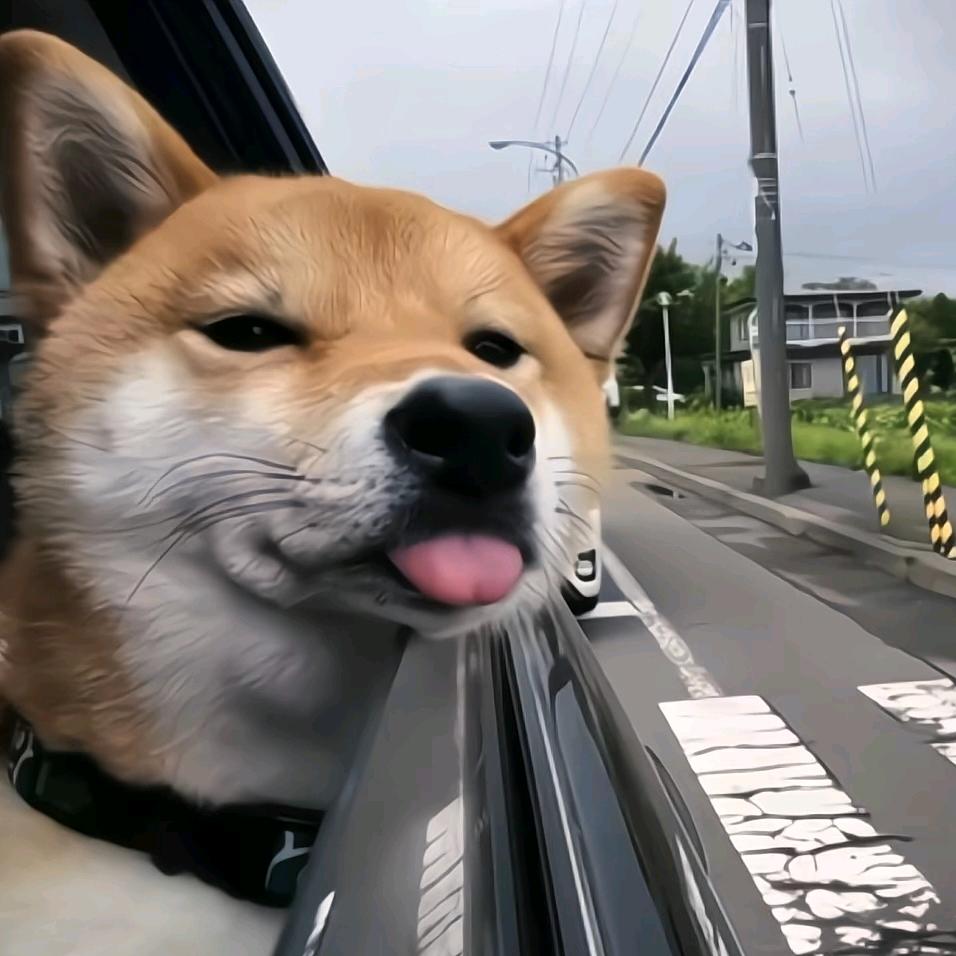 是不一样的花火