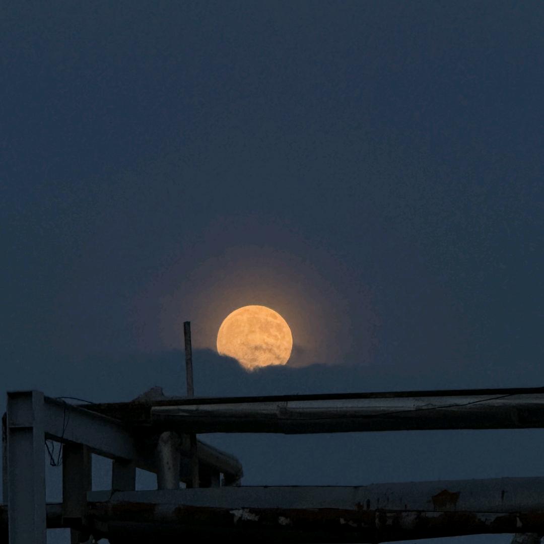 小丑🤡⁰¹¹⁷