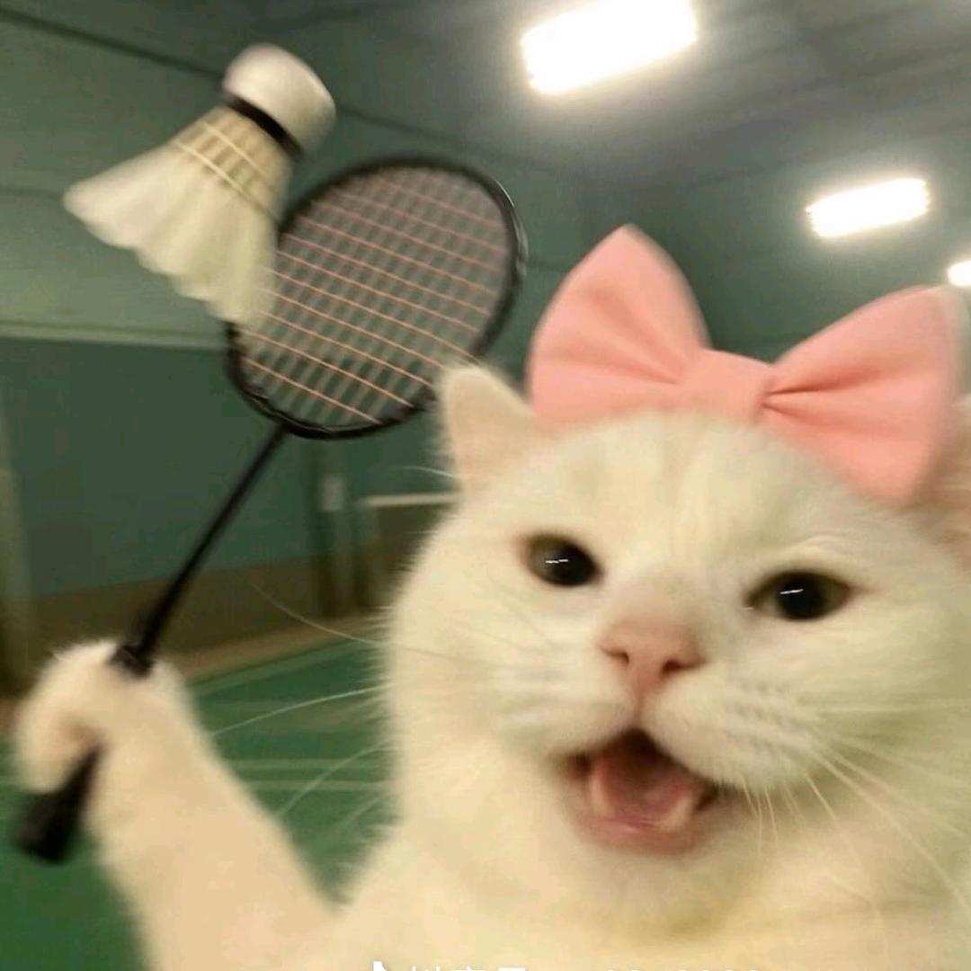 溪溪