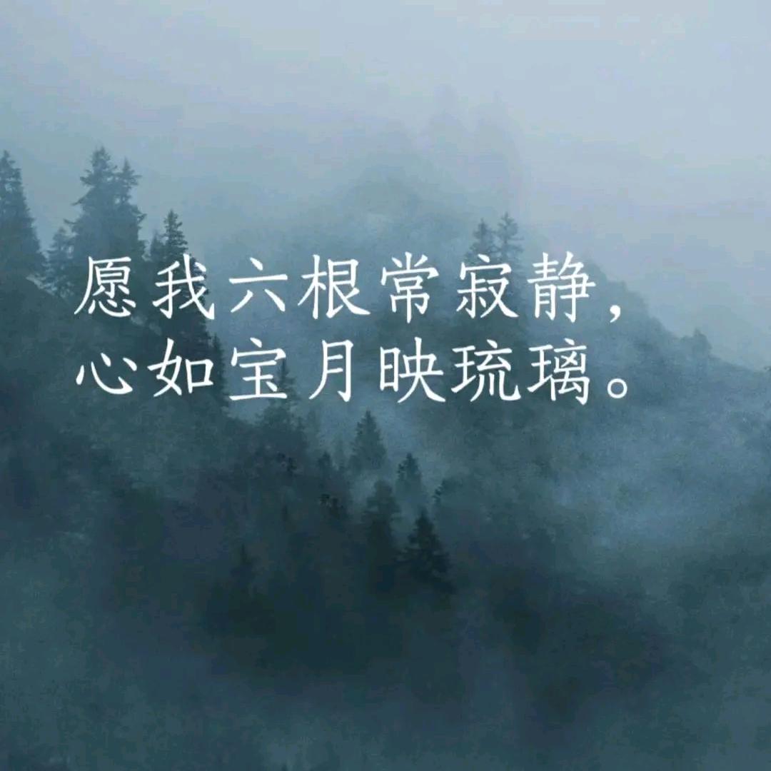 贤妍碎语