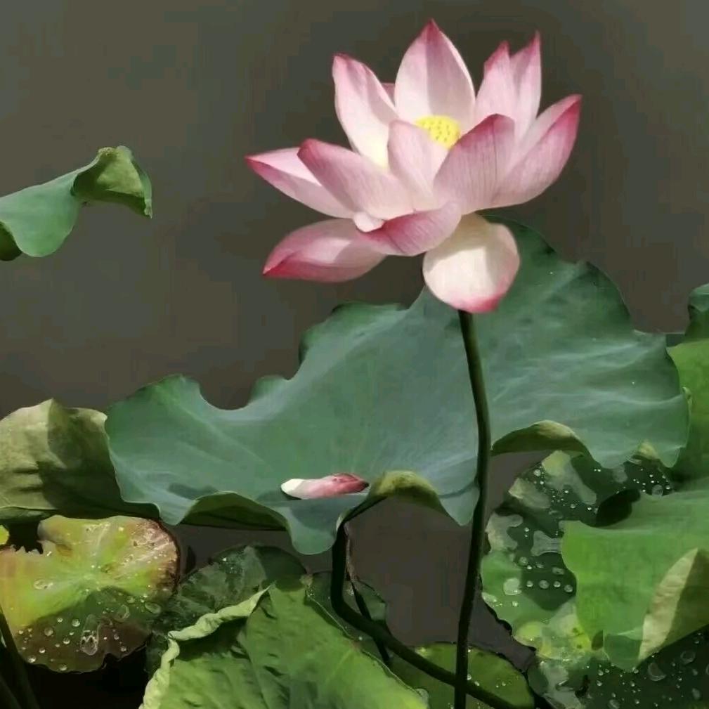 欢迎