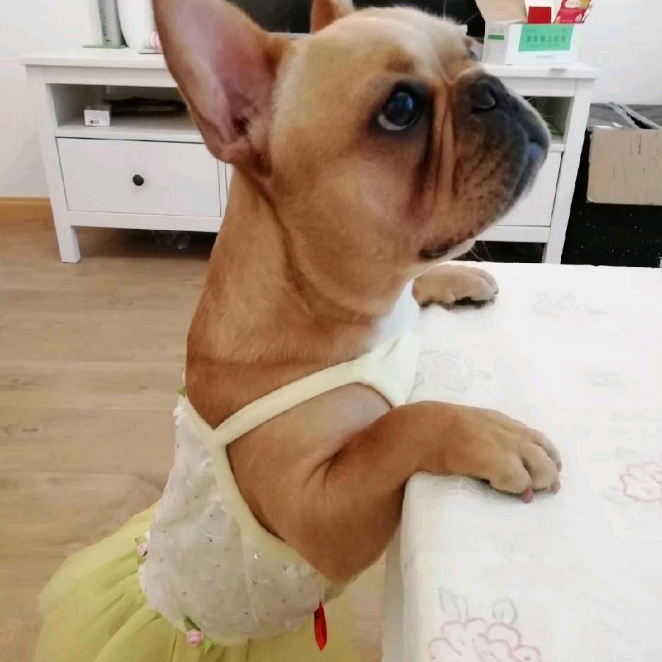 阳子妈妈