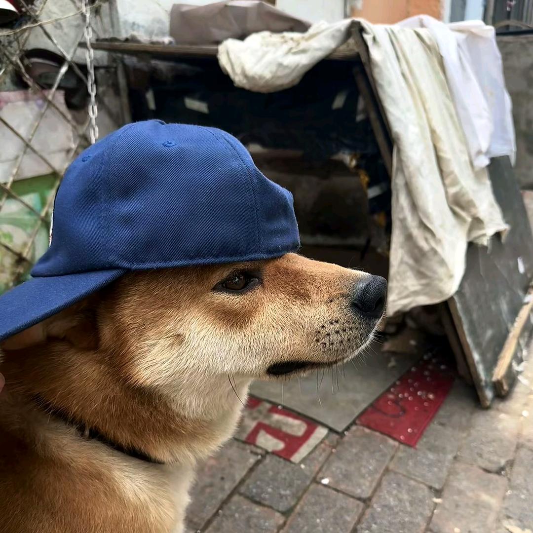 西北风要钱