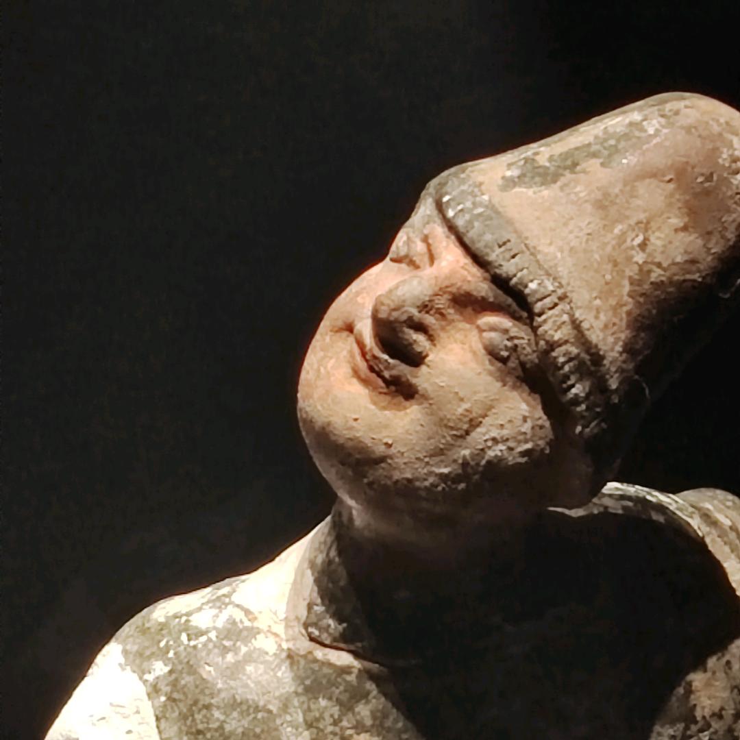 橙子味的曲奇饼干