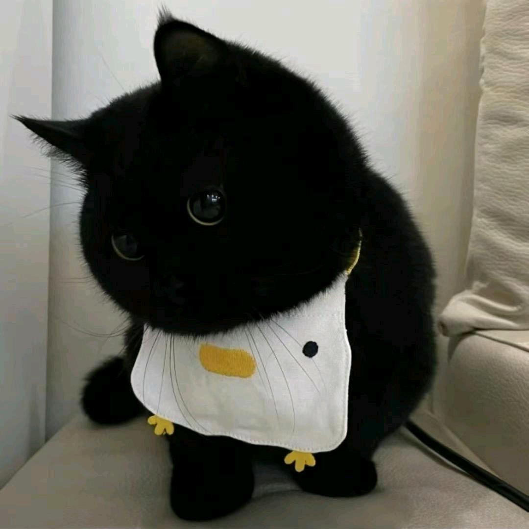 不瘦十斤不改名