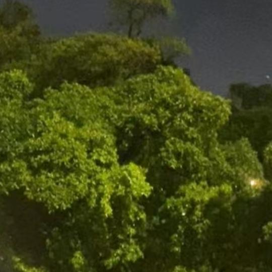 你的爱情谁敢动？