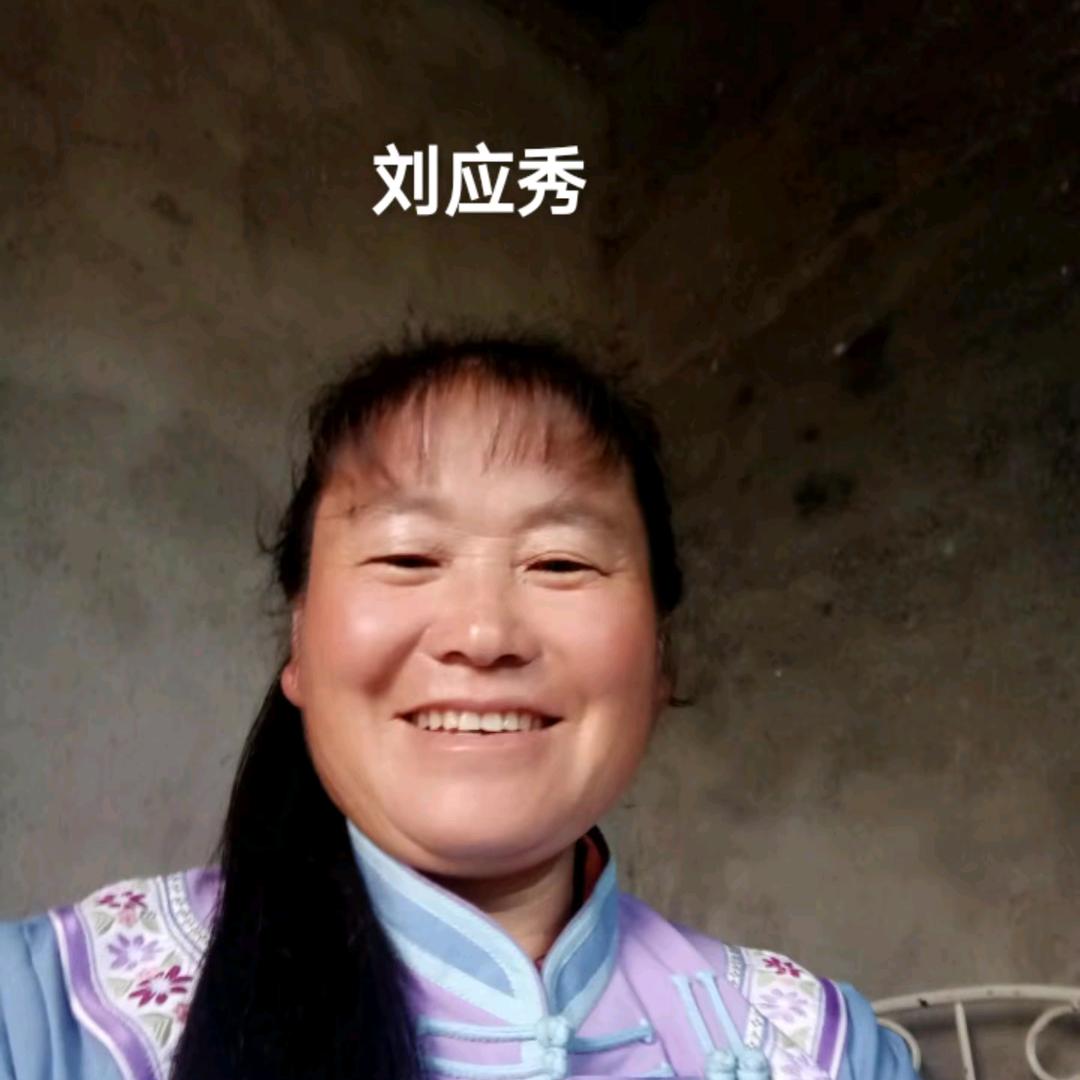 刘应秀