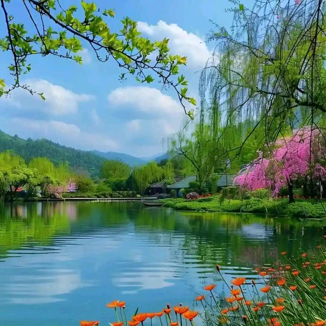 就像美丽蝴蝶飞(请勿连赞)纯属娱乐