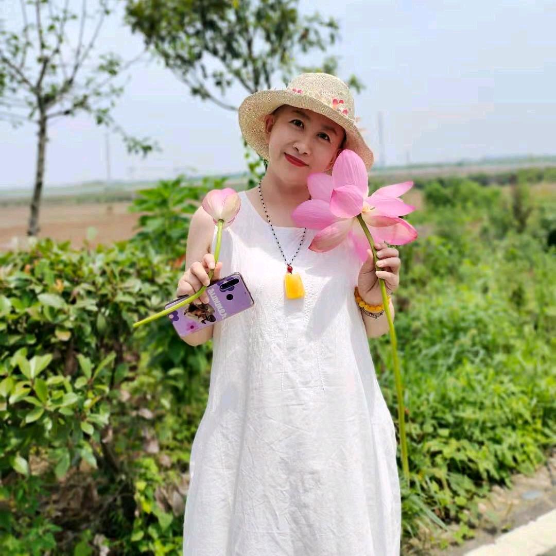 太阳花