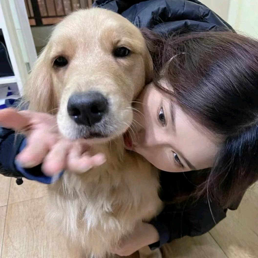 XiaoJie
