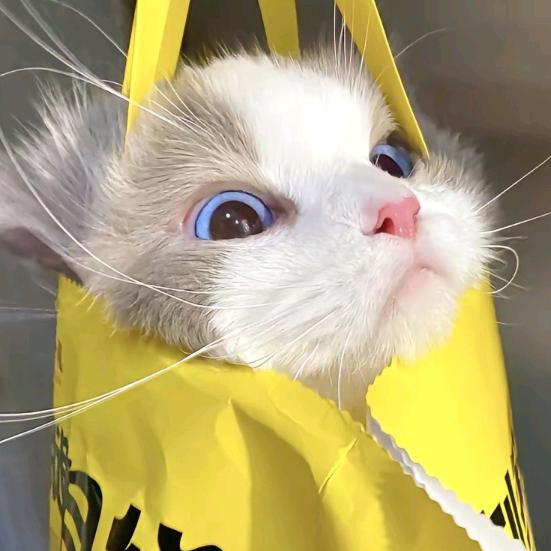 有野心的miao~化