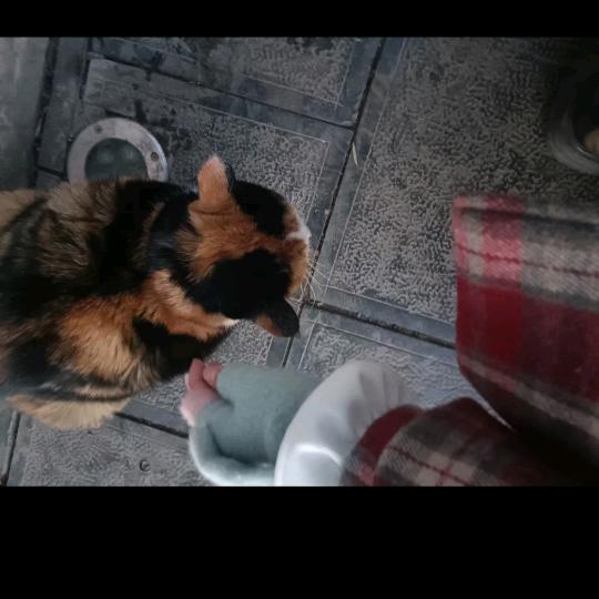 是小豪呀