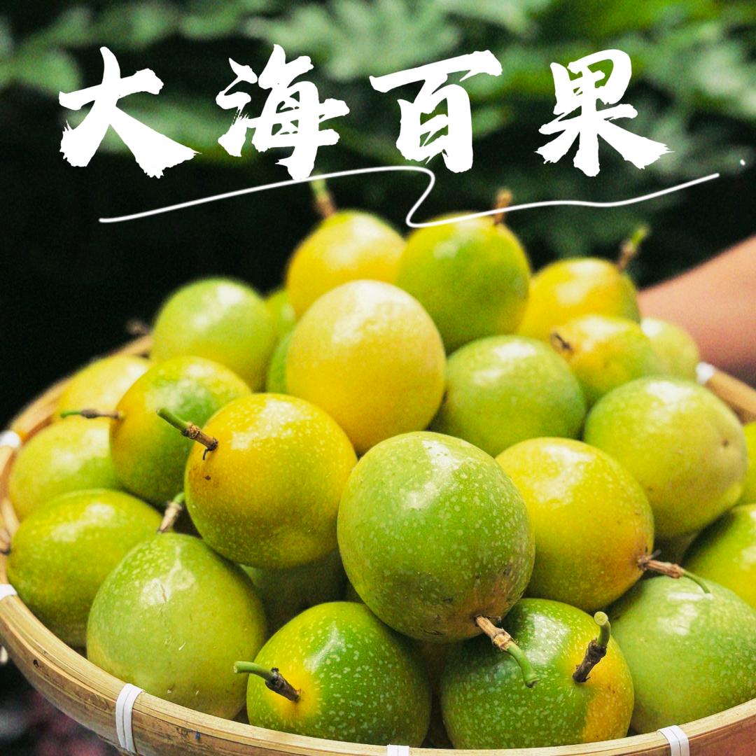 贝者果业