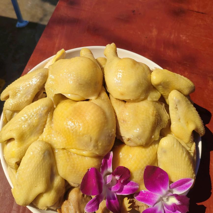 清水鸡酒席专供