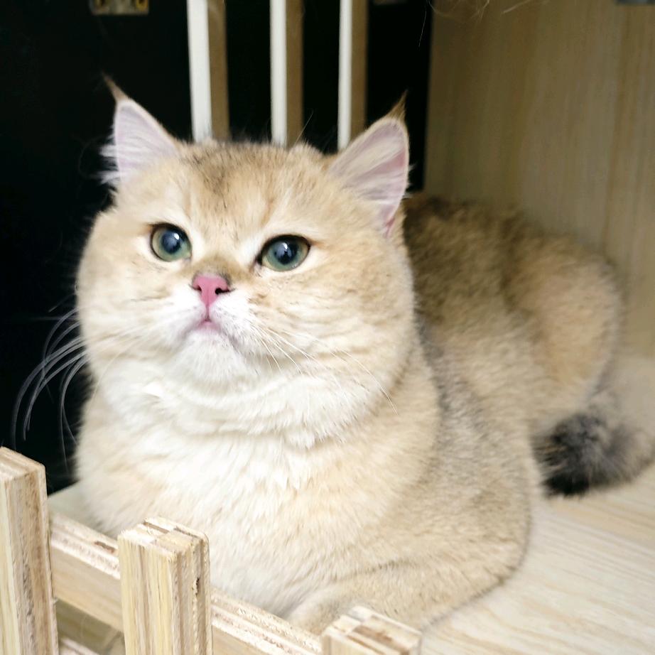 默默打卡一个月