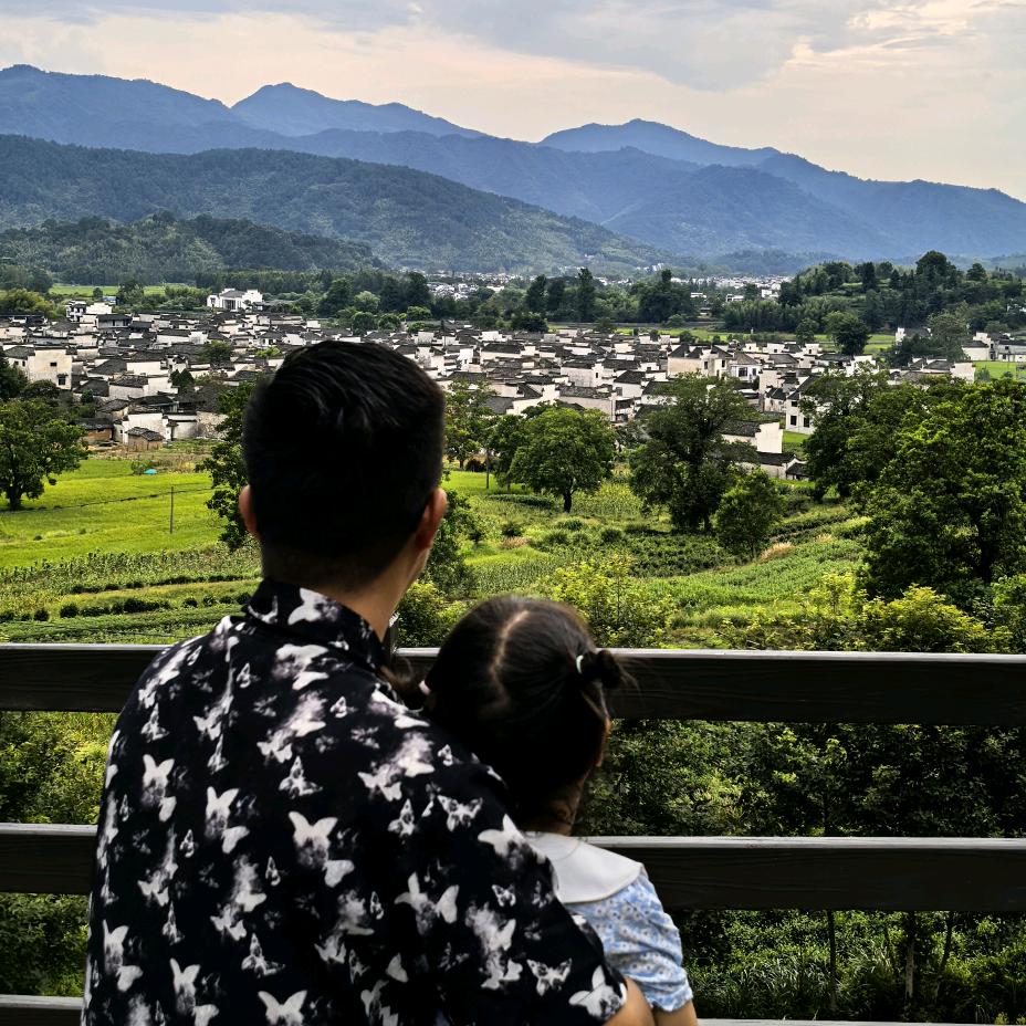 ❧风崔杨柳࿐