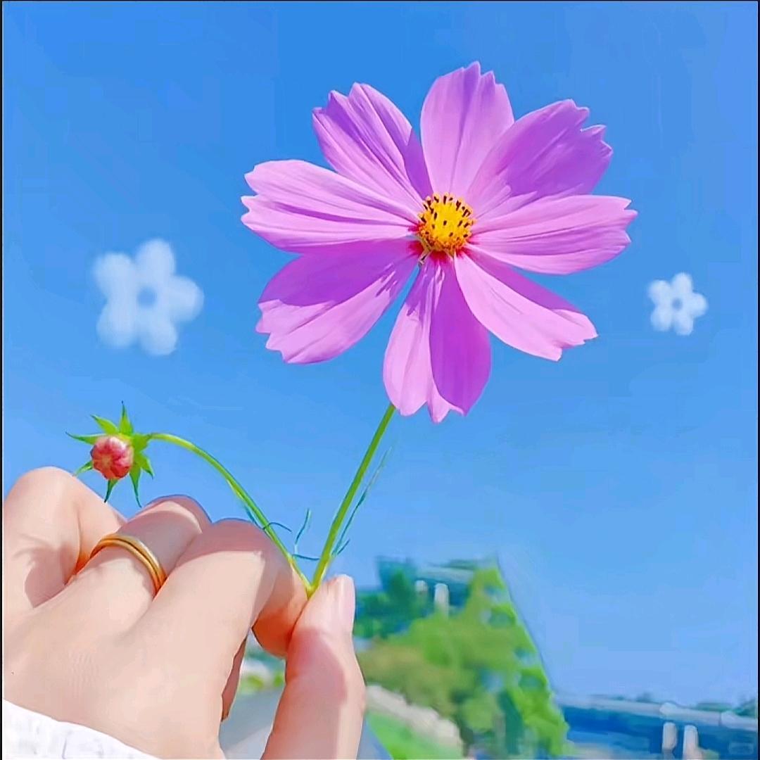 🍒时光꧔ꦿ᭄安好࿐ᩚ