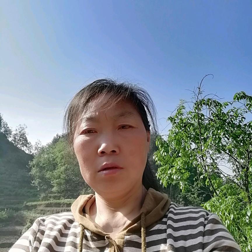 胡燕。
