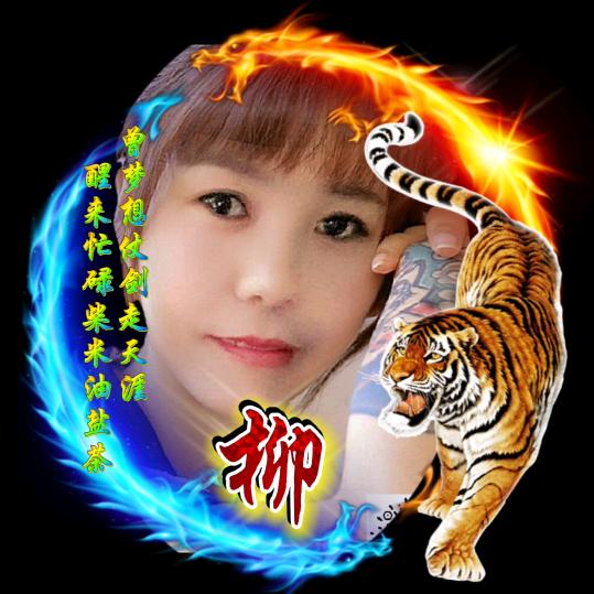 河南虎妹