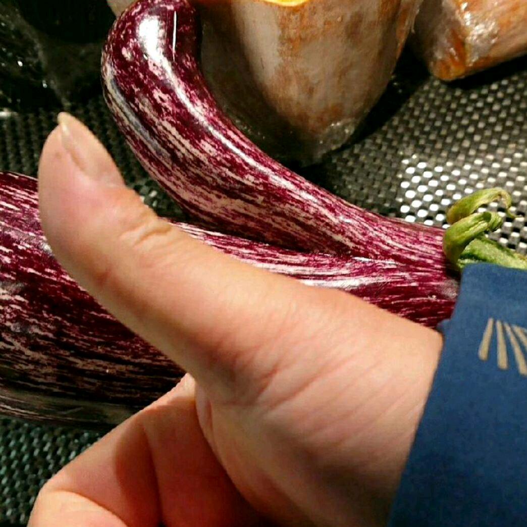 蜉蝣一