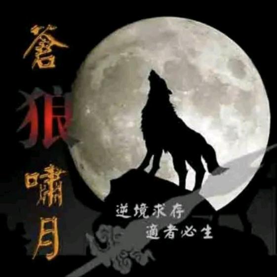 哥累了