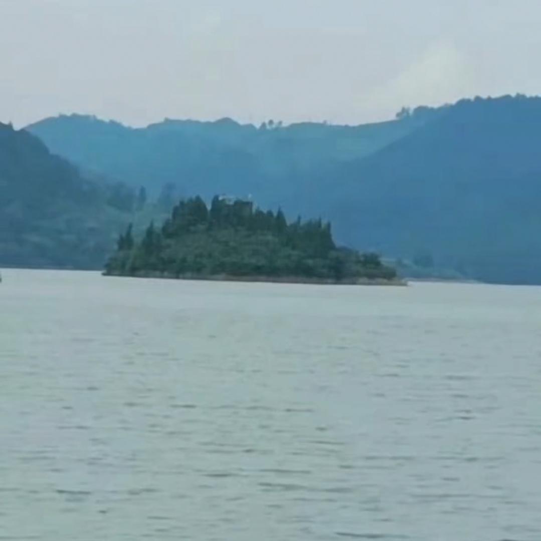 小叶