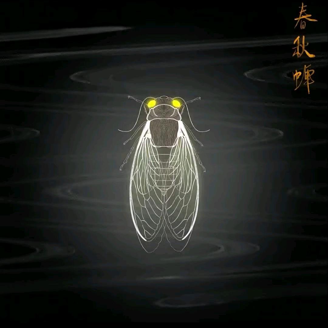 百香果补药珍珠