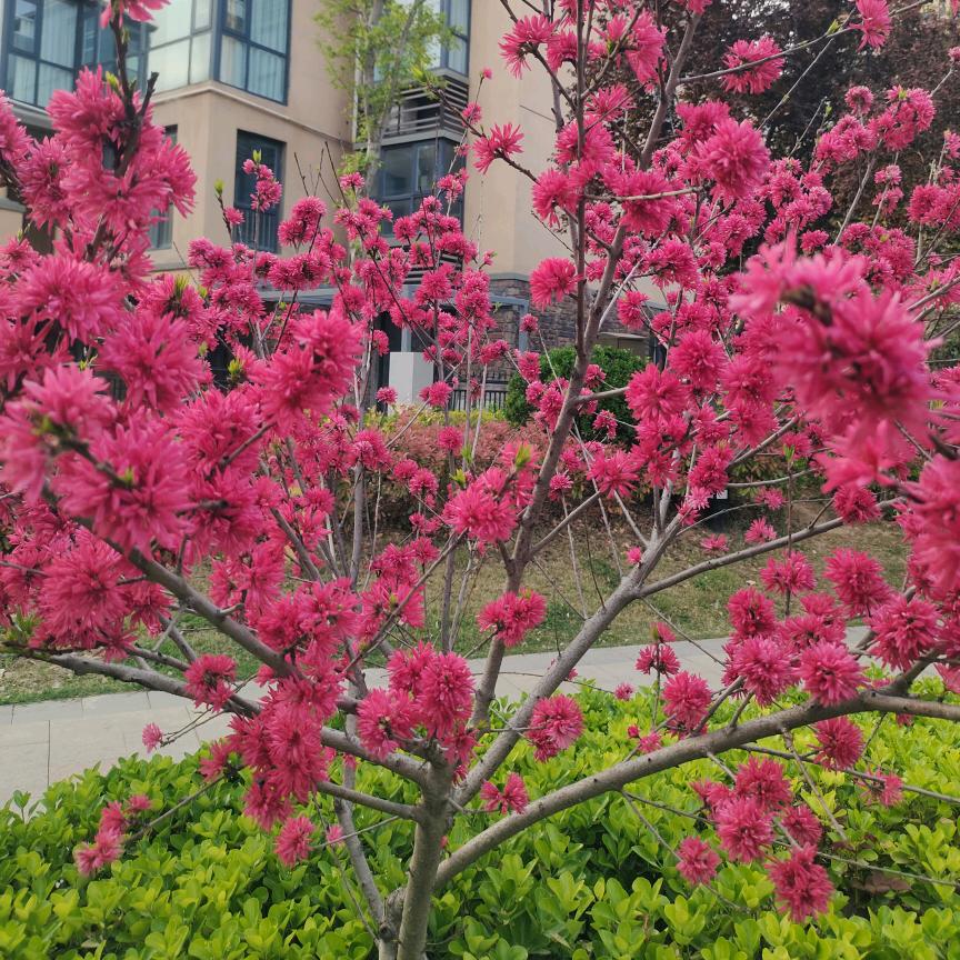 都好