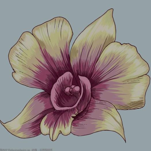 锦绣拾阁（一根针线的故事）