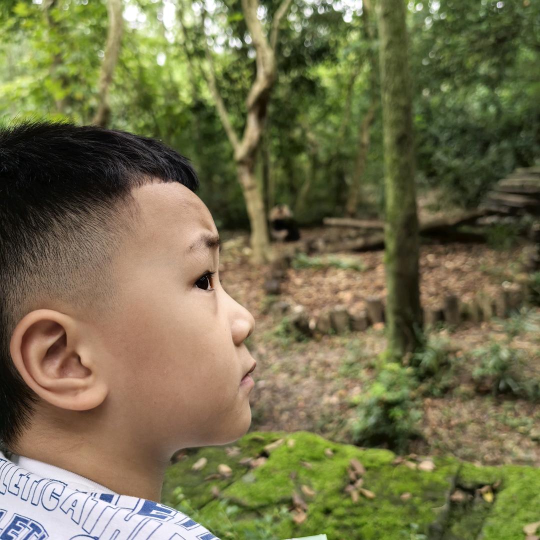 熊猫妈妈陪练琴