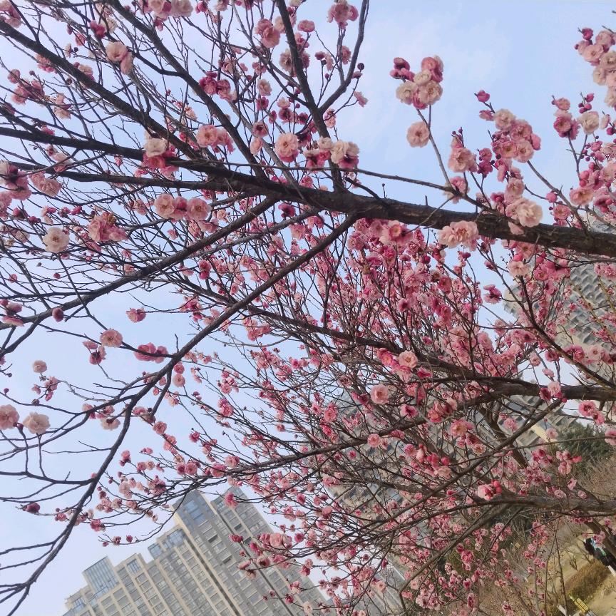 佳潮