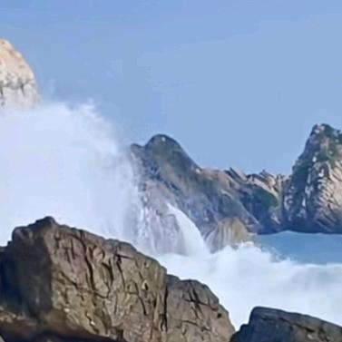 嘉嘉