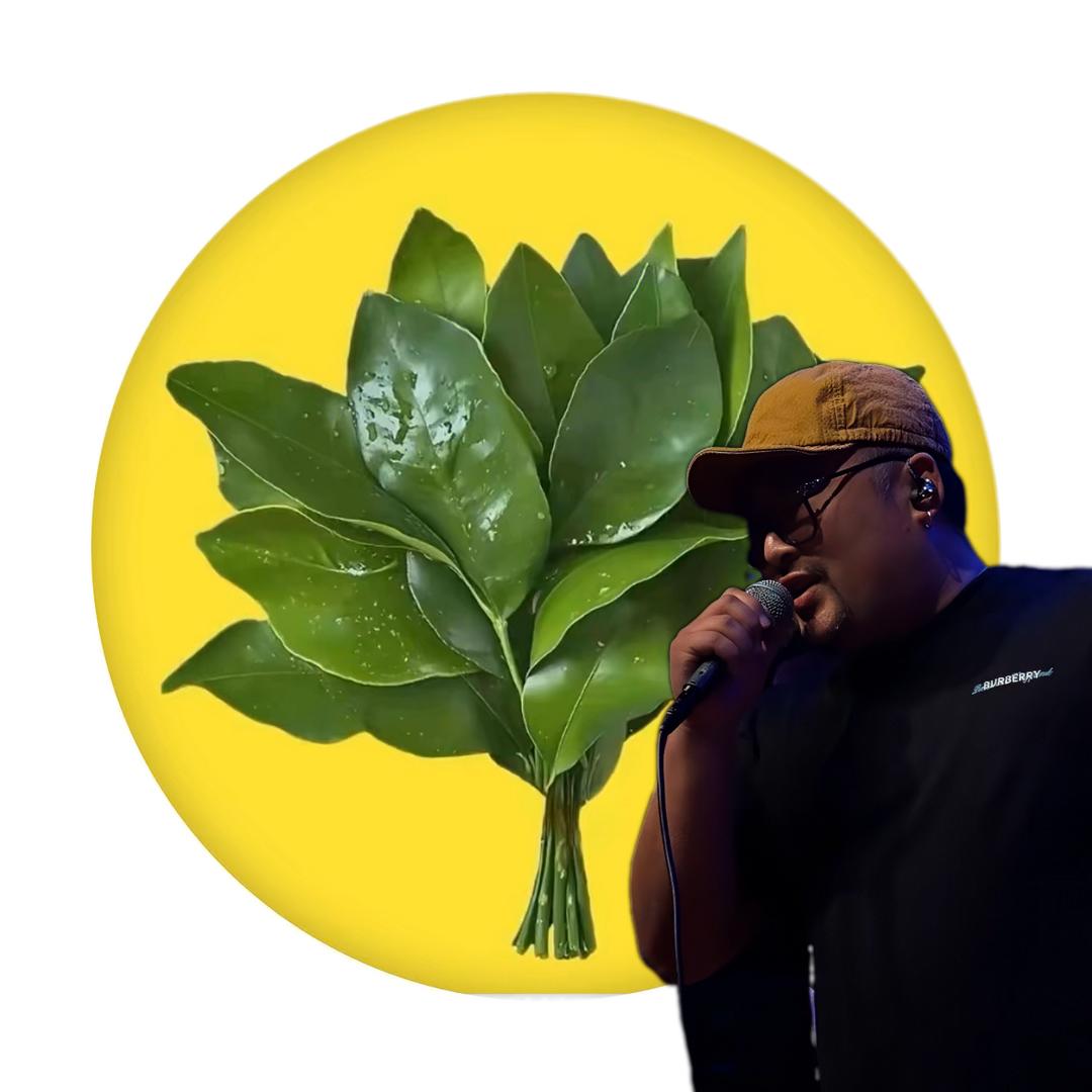 窝草
